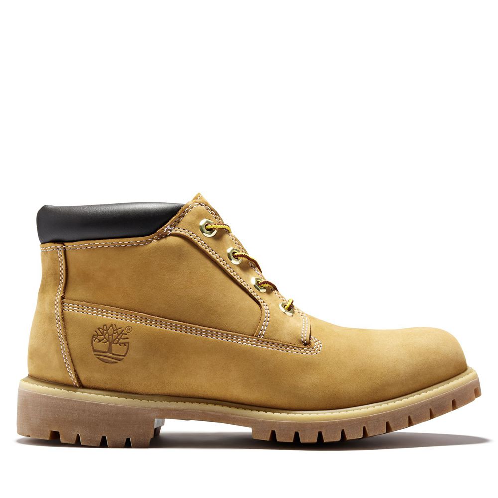 Botas Chukka Masculino - Timberland Icon Impermeavel - FUSCQ0738 - Marrom